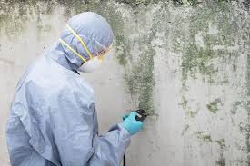 Why You Should Choose Our Mold Remediation Services in Loop, PA